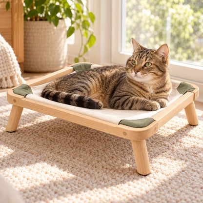 Sunny Cat Perch lifestyle view